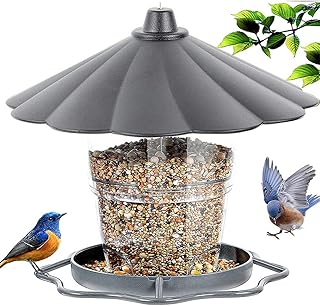 Taoying Mangeoire pour Oiseau,extérieur Mangeoire Lanterne Oiseaux, imperméable, Suspendue Convient pour la Cour de la Maison