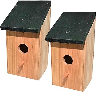 RAM Online Lot de 2 nichoirs en Bois pour Oiseaux avec mésange Bleue et Moineau
